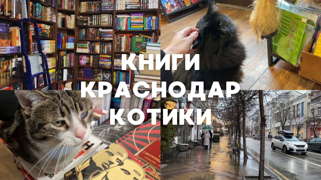КНИЖНЫЕ МАГАЗИНЫ КРАСНОДАРА🐱💕 + КНИЖНЫЕ ПОКУПКИ