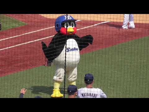 2021/3/19 つば九郎の準備運動