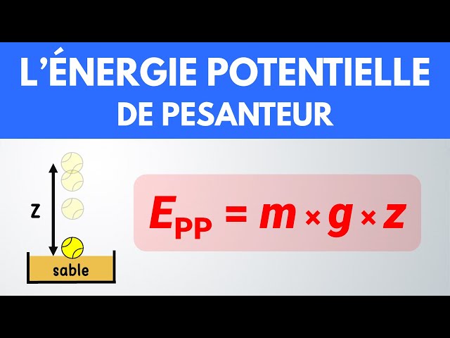 Énergie potentielle de pesanteur (position) | Collège | Lycée | Physique