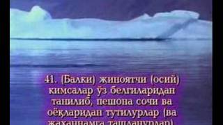 Обложка Ar Rohman Surasi Скачать Ar Rohman Surasi