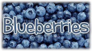 Mini Pastas #32 - Blueberries