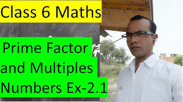 Class 6 Maths Exercise 2.1 Prime Factor and multiples
