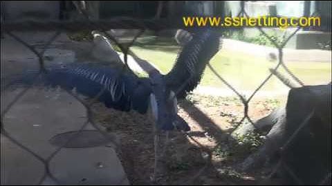 crane cage netting, bird netting, bird aviary netting