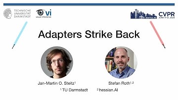 [CVPR 2024] Adapters Strike Back