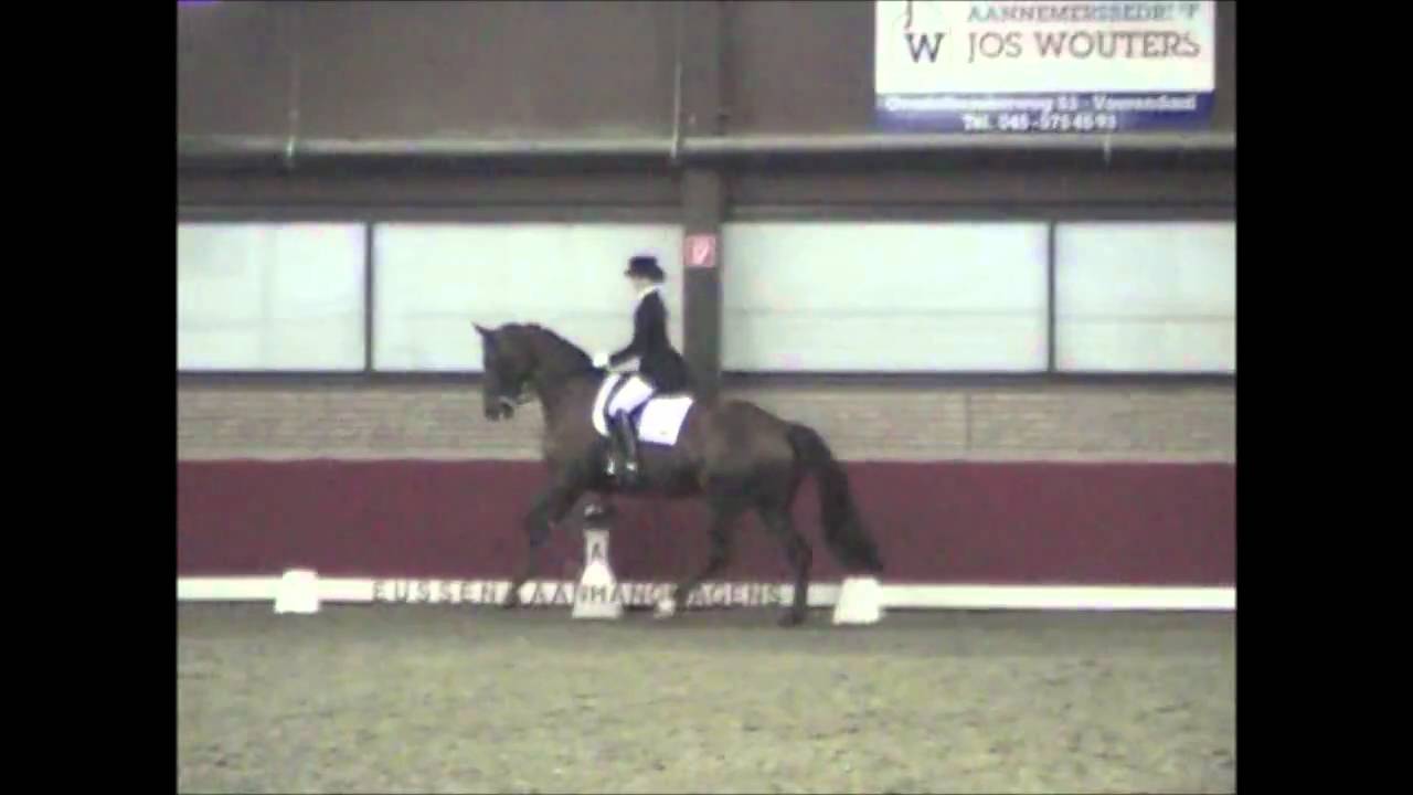 Unique Freestyle Dressage Music YouTube