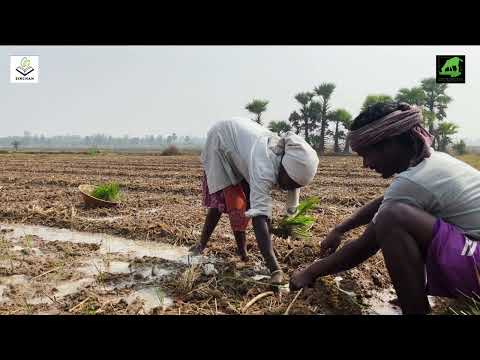 Sustainable Farm school- Chaser Sohojpath