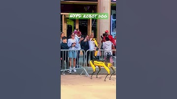NYPD robot dog
