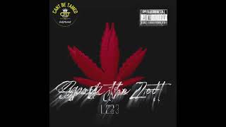L23 - Spark the Zoot ( CBT NORTH )