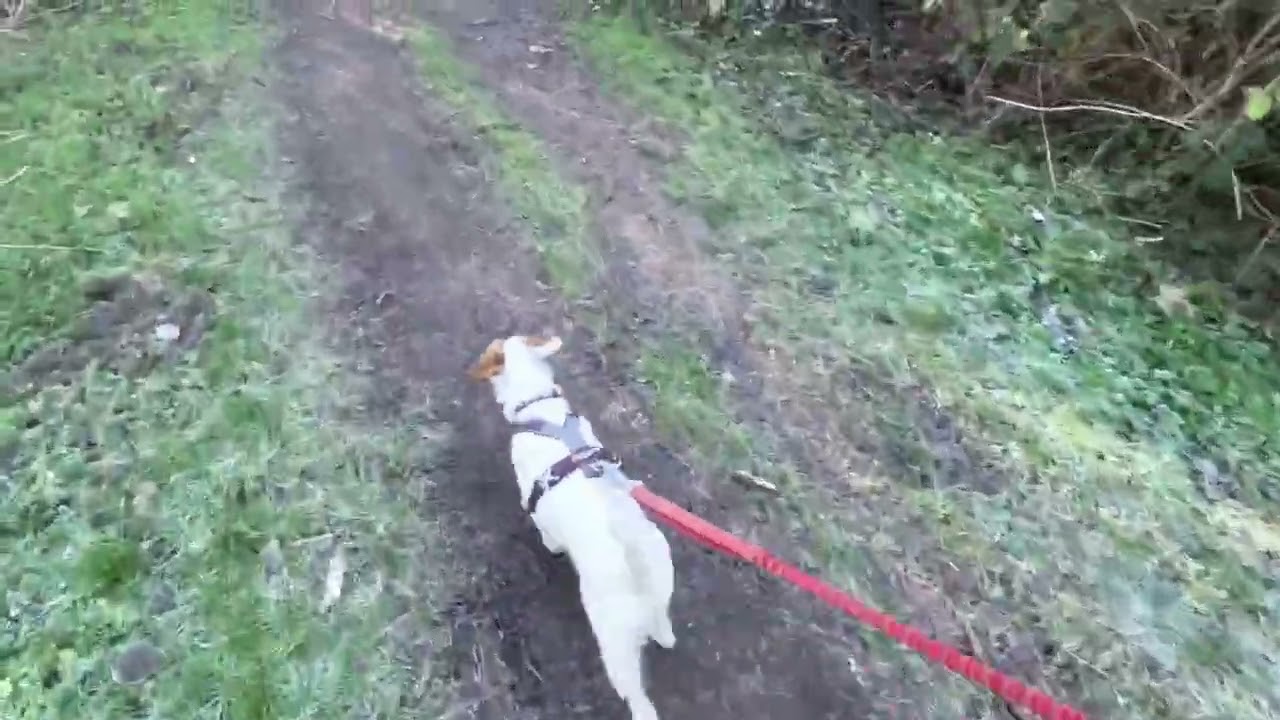 Frost Run around East Leake.