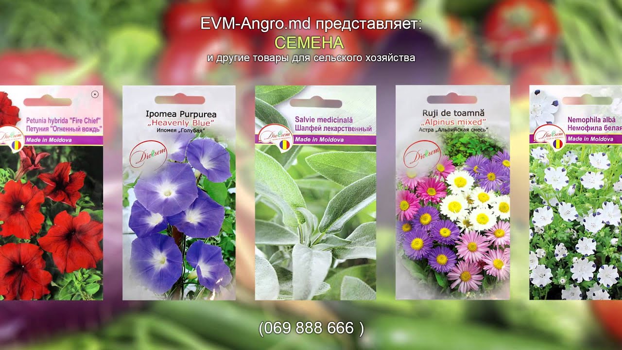 069888666.md Семена, удобрения, товары для сельского хозяйства