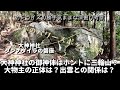 大神神社を深掘考察 御祭神の大物主とは？本当の御神体は三輪山でなく、巻向山のダンノダイラ？？
