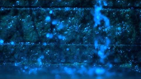 Splashing - HD Stock Footage Background Loop