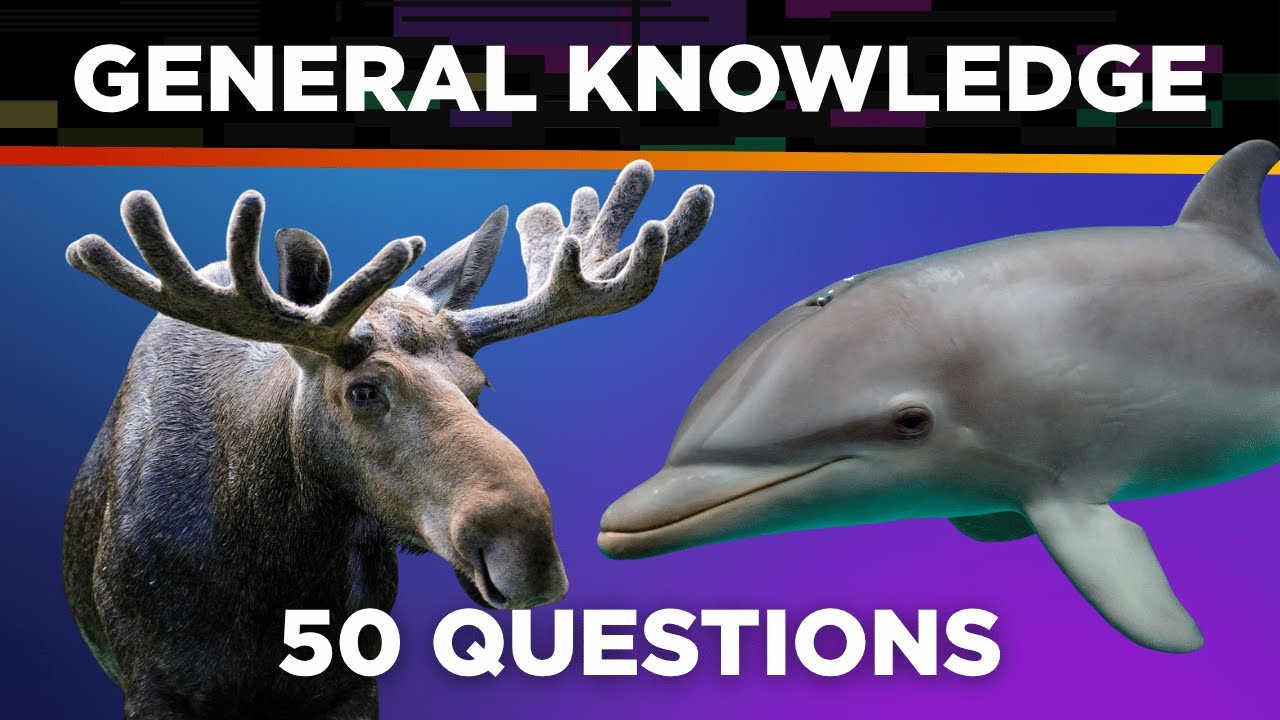 General Knowledge Trivia Quiz  |  50 Questions