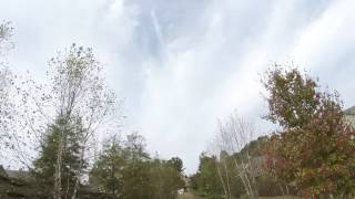 Flips and rolls - tbs vendetta