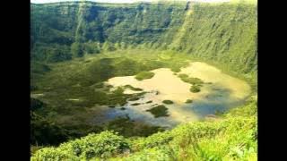 Wiktor Neborak - Liquid Sky