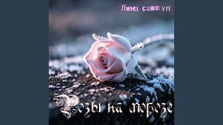 Розы на морозе - Лина Сайфул