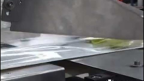 Endives packaging in flow pack wrapper (HFFS)