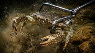 Deep Sea Night Diving Reef Livestream Ocean - Marine Navy Diver 4k