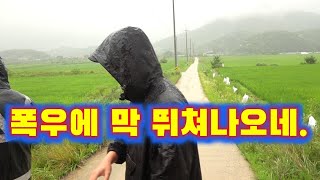 비가오니 엄청 쏟아져 나온다~!! /Freshwater fish that come out a lot when it rains. screenshot 1