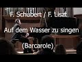 Sergey Koudriakov / F. Schubert - F. Liszt: Auf dem Wasser zu singen (Barcarole)