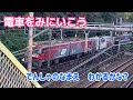 電車 プラレール大好き 実物を見に行こう 新幹線はやぶさ こまち かがやき つばさ 踊り子 草津 貨物列車金太郎 京浜東北 Let S Go See Japanese Trains 電車 プラレール大好き 実物を見に行こう 新幹線はやぶさ こまち かがやき つばさ 踊り子 草津 貨物列車金太郎 京浜東北 Let S Go See Japanese Trains