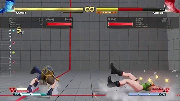 SFV - Cammy Combo Punish