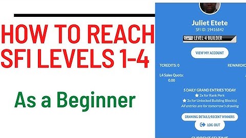 SFI Level 4: How to Get Started and Make Money