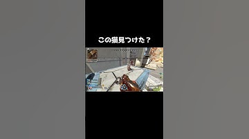 【APEX LEGENDS】これなに！？みんなは見つけた？ #shorts #apex #ゲーム実況