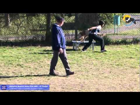 Nicky & Kiara - Competencia Abierta de Agility 11/...