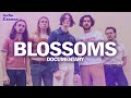 Capture de la vidéo Charlemagne- A Blossoms Documentary