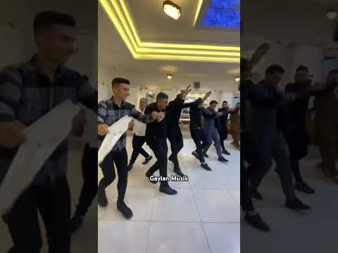 ميساره شي اكسبلور   اغاني رقص لايك جديد فولو تيك توك اغاني عراقية