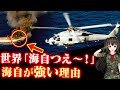 【海上自衛隊航空集団の実力】強さの秘密とは？「世界からは○○と呼ばれるほど…。」海自哨戒機解説【凛護隊】