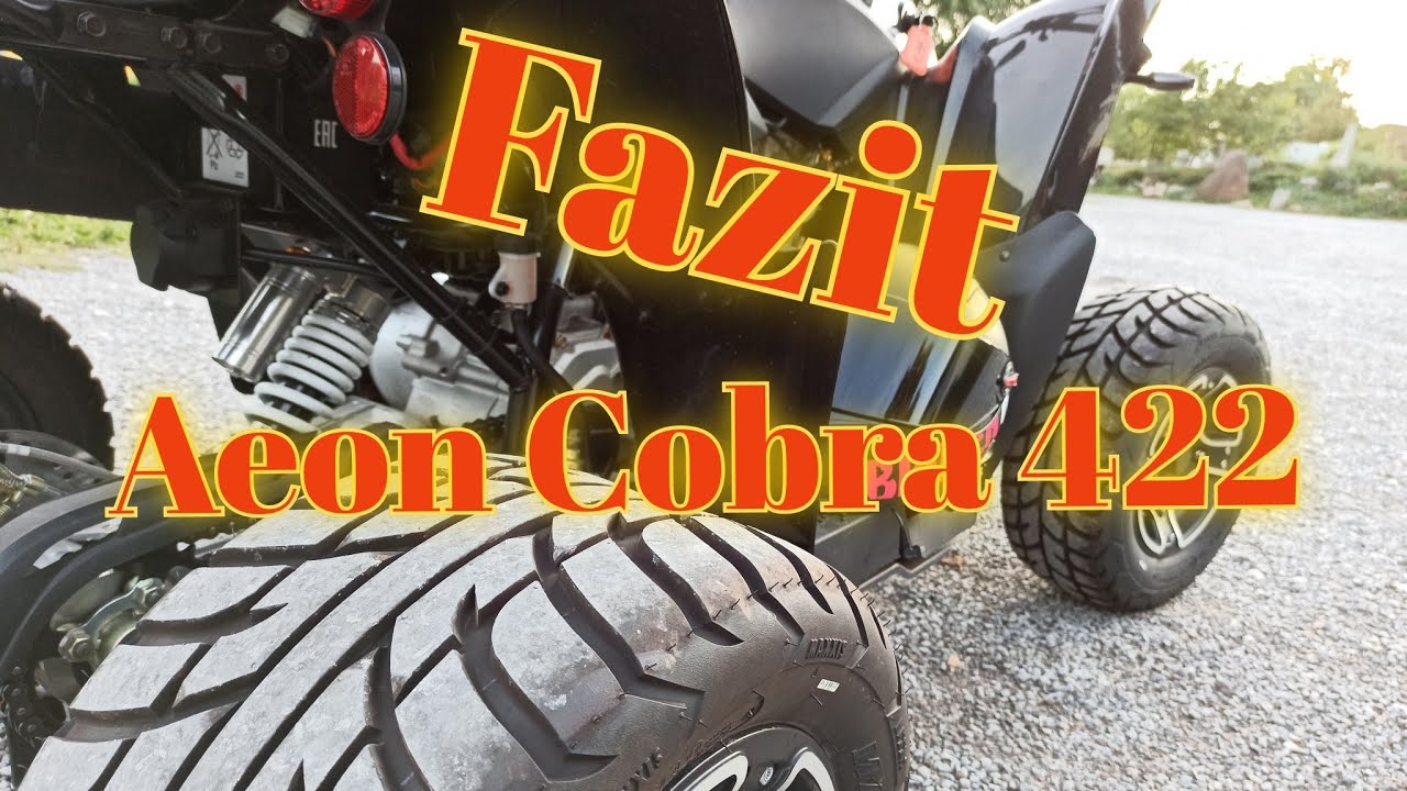 Fazit Quad /Aeon cobra 422/ Inspektion