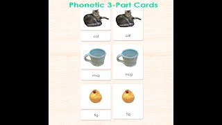 Phonetic 3-Part Reading Cards #montessori #earlylearning #scienceofreading #earlyreaders