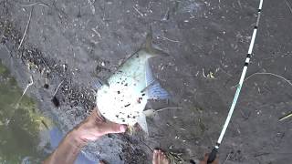 Рыбалка на ЛЕСНЫХ червей. Fishing Астрахань. 4К