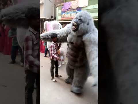 yatra in akkipet Bangalore jay