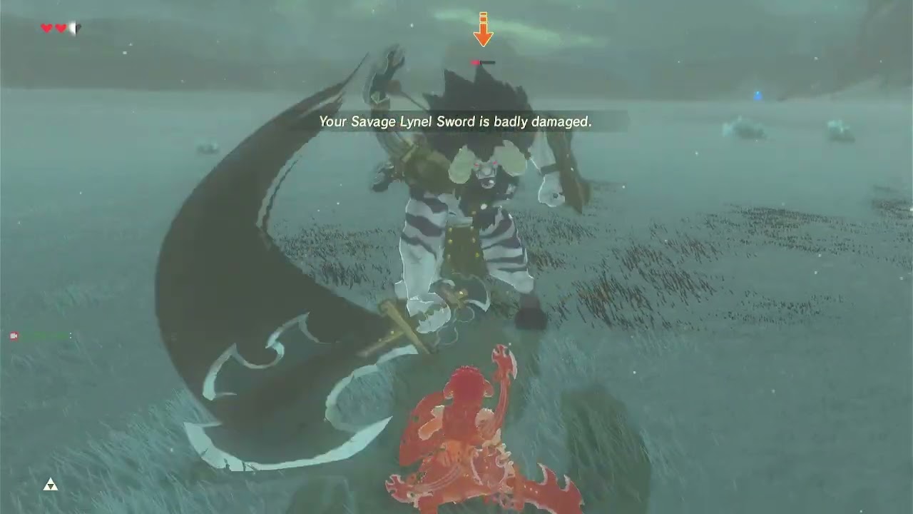 Savage Lynel Sword Location No. 1