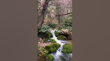 { وَوَصَّيْنَا الْإِنْسَانَ بِوَالِدَيْهِ إِحْسَانًا }#سورة_الأحقاف | القارئ محمد أنس حلواني