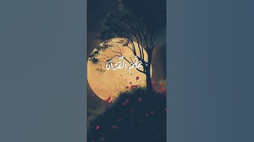 الرَّحْمَٰنُ  عَلَّمَ الْقُرْآنَ  خَلَقَ الْإِنْسَانَ  (عَلَّمَهُ الْبَيَانَ تلاوة عطرة أرح قلبك 🌱🤍
