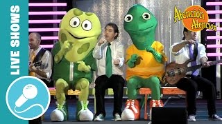 Atención Atención ¿Que pasa con la música? En Vivo - FULL CONCERT