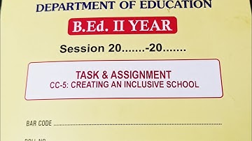 B ed second year file , creating an inclusive school