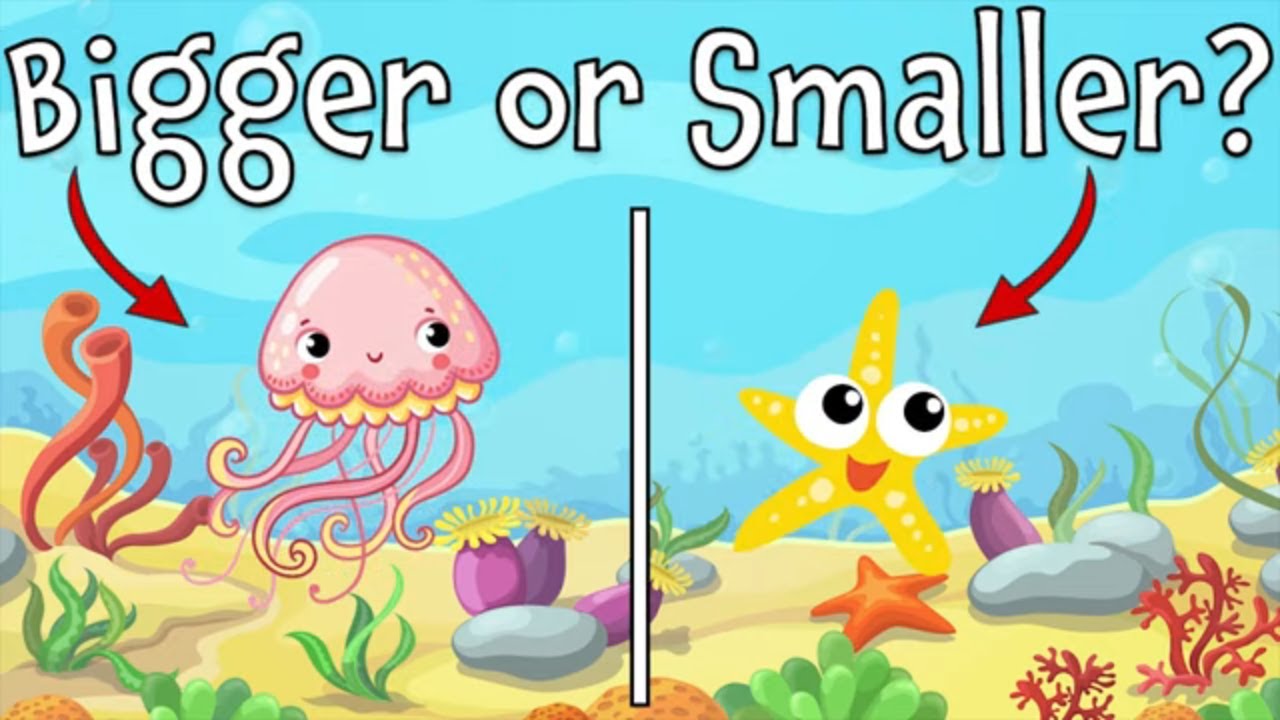 Bigger or Smaller? Ocean Animal Guessing Game for Kids - YouTube