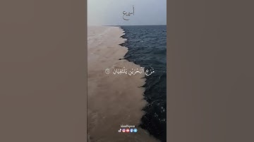 مرج البحرين يلتقيان سورة الرحمن بصوت القارئ ياسر الدوسري