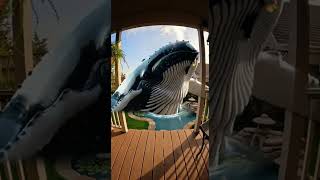 Koi Pond Transforms into Ocean Portal: Whale Surfaces in Backyard