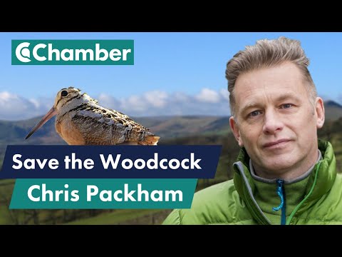 Woodcock conservation with