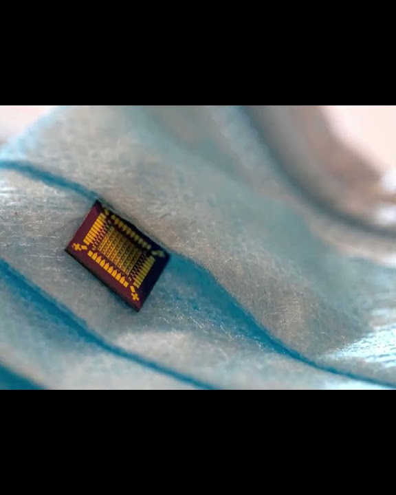 Biological Hybrid Transistors: Merging Silk with Silicon in ...