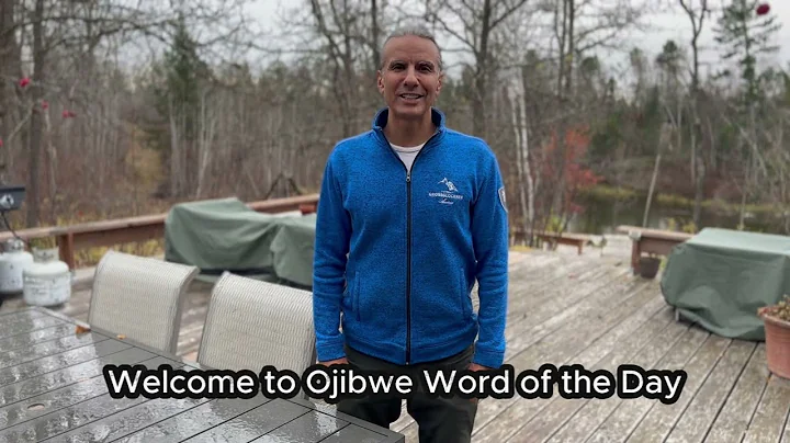 Dapiiwan = It is wet, moist  (Ojibwe Word of the Day)