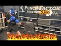 복싱 5개월차 스파링을 이렇게 할 수 있다고?! #권투 #boxing #스파링 #복싱 