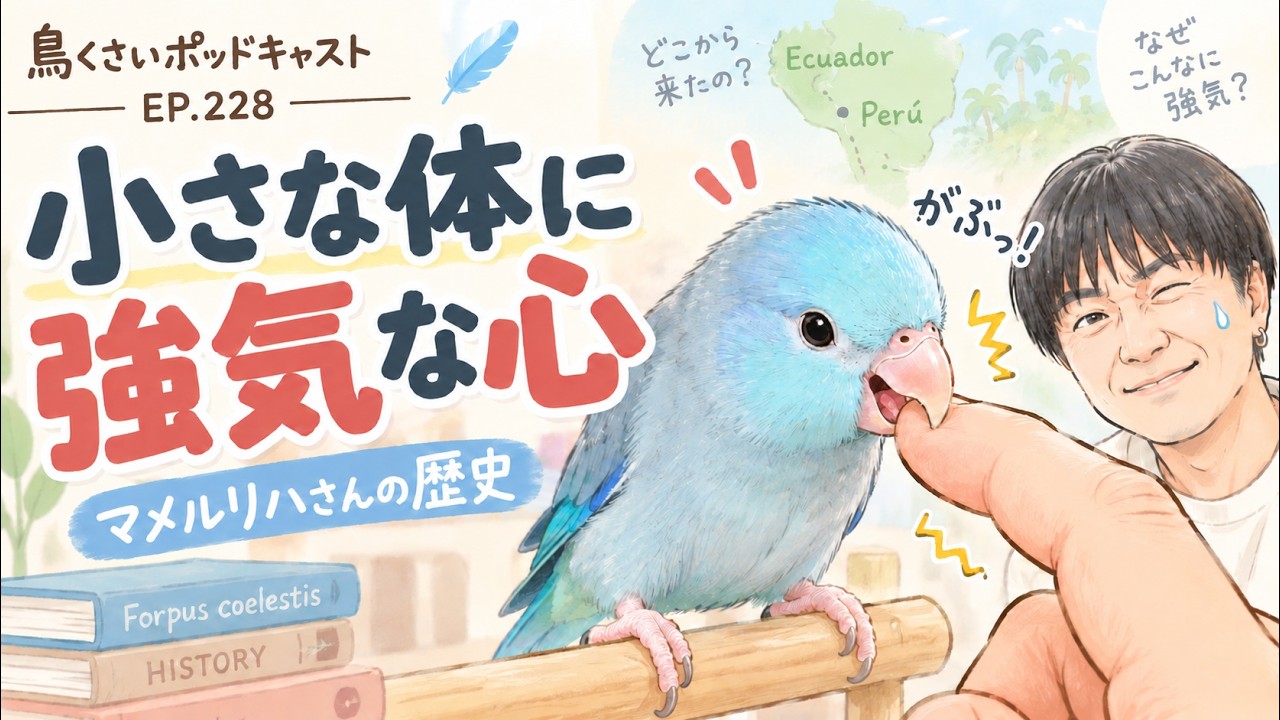 The History of Pacific Parrotlets] Small Body, Big Attitude (EP