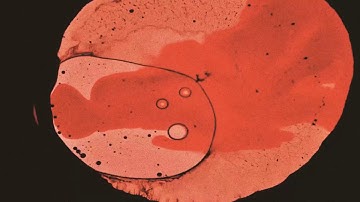 EMPTY SET - V (Official Videoclip by Marco Di Battista)